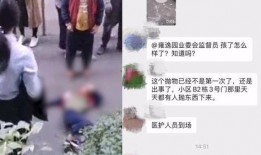 惠州学生爆料事件视频,真相与反思